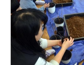 기타 / 목적 체험